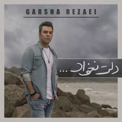 دانلود آهنگ جدید گرشا رضایی به نام دلت نخواد