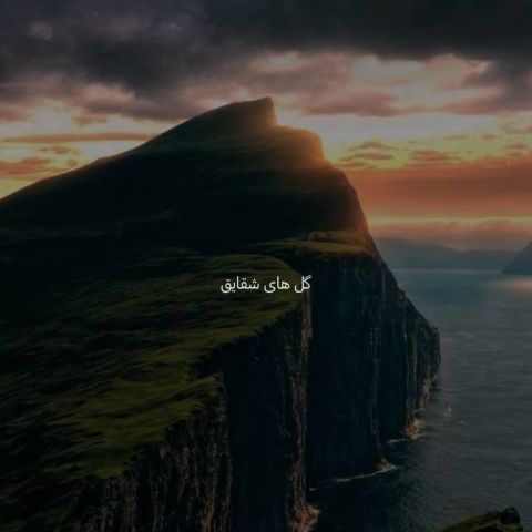 دانلود آهنگ علی منتظری به نام ماهی بشی میشم دانلود آهنگ علی منتظری به نام ماهی بشی میشم