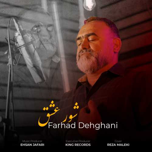 دانلود آهنگ فرهاد دهقانی به نام شور عشق 