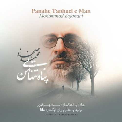 دانلود آهنگ محمد اصفهانی به نام پناه تنهایی من 